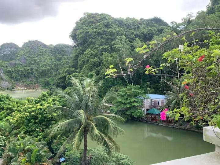 Catba Backpackers Hostel & Pool Bar Chan Chau Номер фото